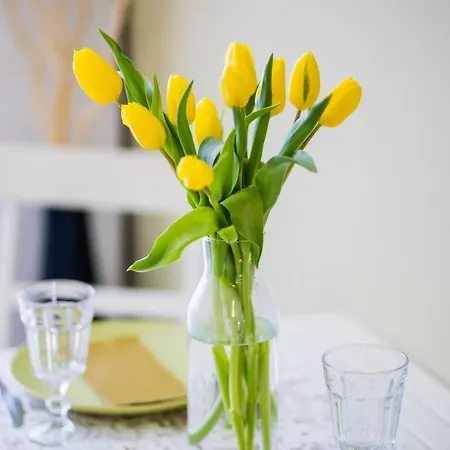 Myflat 802 Apartment Siófok