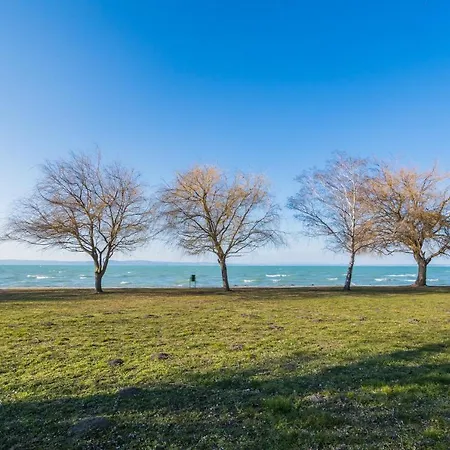 Myflat 802 아파트