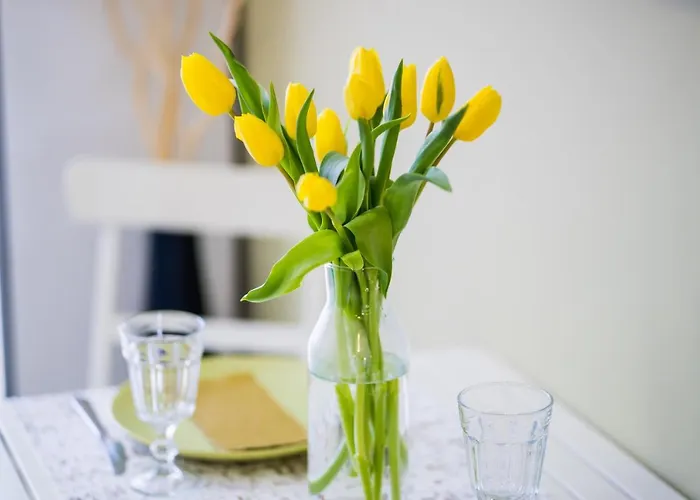 Myflat 802 Apartment Siofok