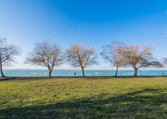 Myflat 802 アパート